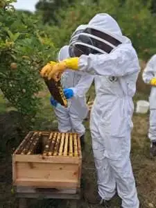 20250820_133507
